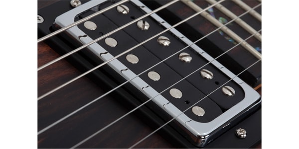 SCHECTER ( シェクター )  / C-1 Exotic Ebony画像11