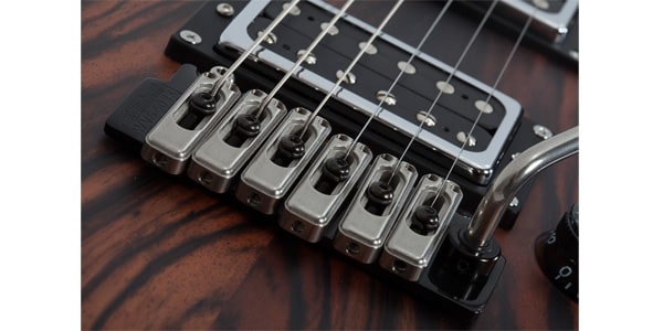 SCHECTER ( シェクター )  / C-1 Exotic Ebony画像12