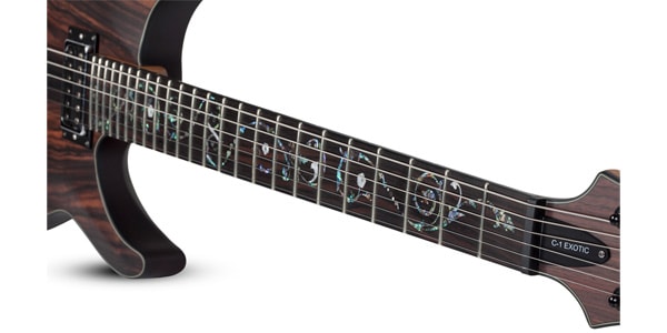 SCHECTER ( シェクター )  / C-1 Exotic Ebony画像4