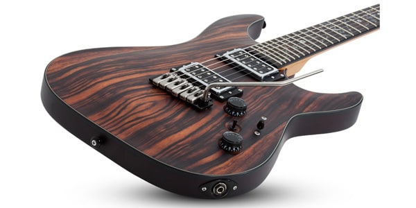 SCHECTER ( シェクター )  / C-1 Exotic Ebony画像6