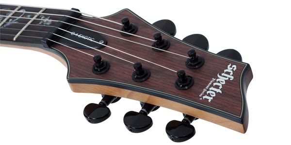 SCHECTER ( シェクター )  / C-1 Exotic Ebony画像7