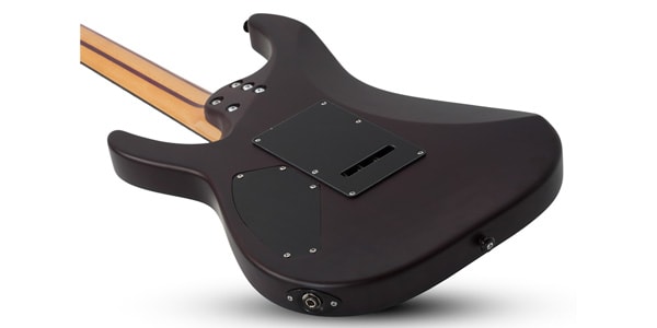 SCHECTER ( シェクター )  / C-1 Exotic Ebony画像9