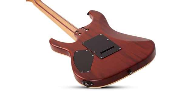 SCHECTER ( シェクター )  / C-1 Exotic Spalted Maple SNVB画像3