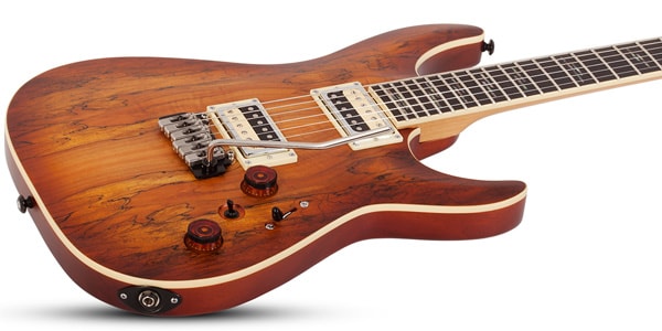 SCHECTER ( シェクター )  / C-1 Exotic Spalted Maple SNVB画像4