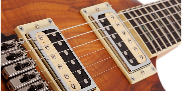 SCHECTER ( シェクター )  / C-1 Exotic Spalted Maple SNVB画像5