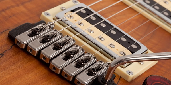 SCHECTER ( シェクター )  / C-1 Exotic Spalted Maple SNVB画像6
