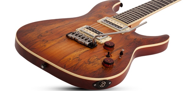 SCHECTER ( シェクター )  / C-1 Exotic Spalted Maple SNVB画像7