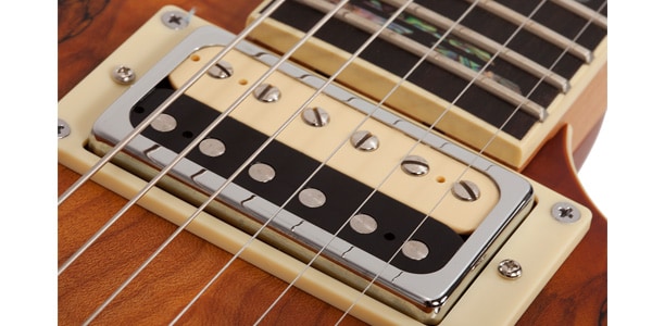 SCHECTER ( シェクター )  / C-1 Exotic Spalted Maple SNVB画像8