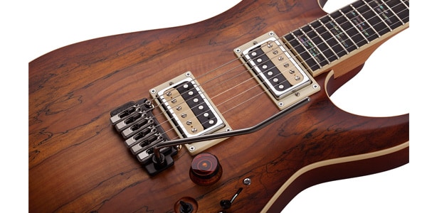 SCHECTER ( シェクター )  / C-1 Exotic Spalted Maple SNVB画像9