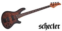 SCHECTER / C-4 Standard Tobacco Burl
