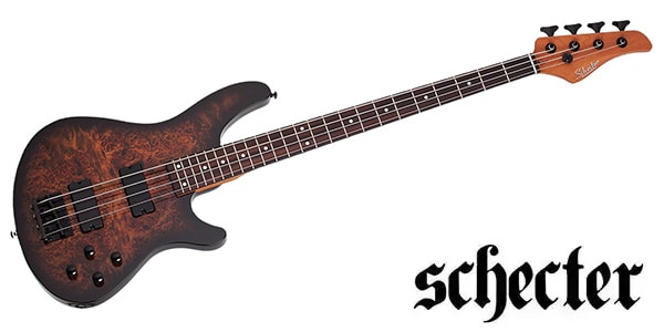 SCHECTER ( シェクター )  / C-4 Standard Tobacco Burl