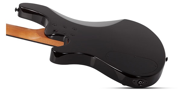 SCHECTER ( シェクター )  / C-4 Standard Tobacco Burl画像6