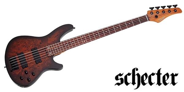 SCHECTER ( シェクター ) C-5 Standard Tobacco Burl 送料無料