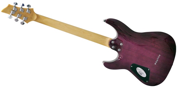 SCHECTER / C-6 PLUS EM画像4