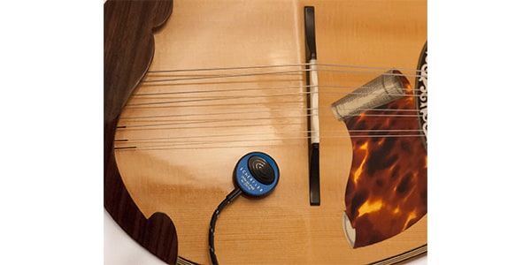 SCHERTLER ( シャートラー )  / Dyn-M-P48 Mandolin Microphone画像4