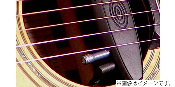 SCHERTLER シャートラー S-MIC-M 送料無料 サウンドハウス