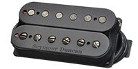 SEYMOUR DUNCAN / Pegasus 6-String