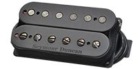 SEYMOUR DUNCAN Pegasus 6-String