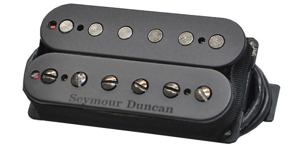 SEYMOUR DUNCAN/Pegasus 6-String