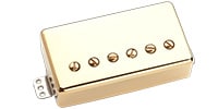 SEYMOUR DUNCAN / Green Magic Trembucker Gold Cover