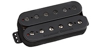 SEYMOUR DUNCAN Pegasus 6-String Trembucker