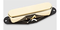SEYMOUR DUNCAN / Lari Basilio Tele Neck Gold Cover