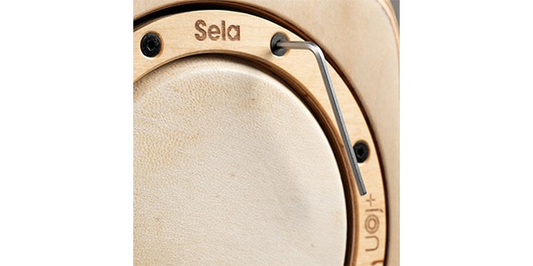 SELA CAJON / SE-IC1　カホン画像6