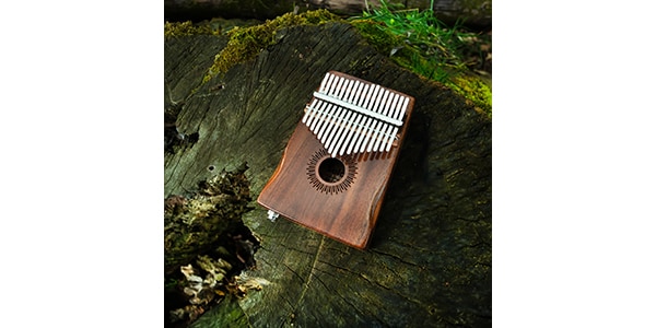 SELA CAJON / SEKL17P-KO Kalimba画像7