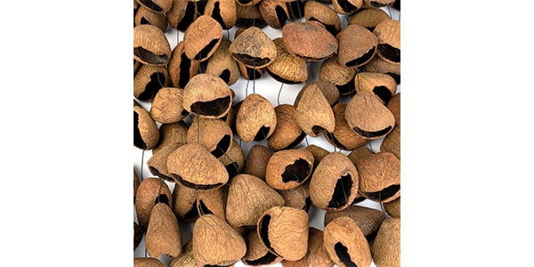 SELA CAJON ( セラカホン )  / SESDC3画像2