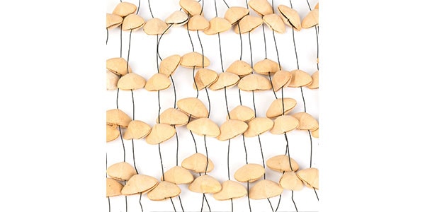 SELA CAJON ( セラカホン )  / SESDC5画像2