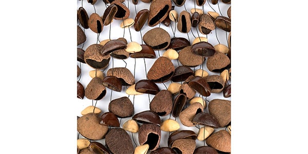 SELA CAJON ( セラカホン )  / SESDC6画像2