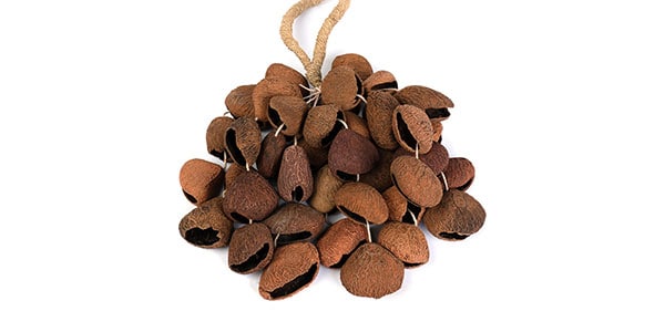 SELA CAJON ( セラカホン )  / SESDS3画像2