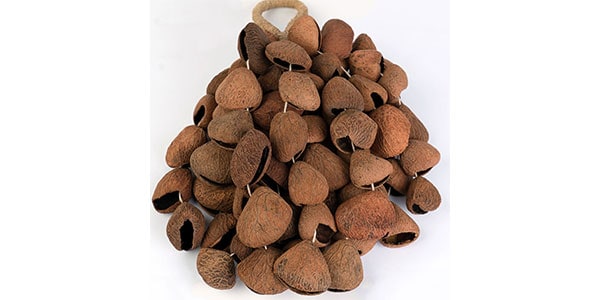 SELA CAJON ( セラカホン )  / SESDS7画像2