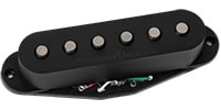 SEYMOUR DUNCAN / Hot Chicken Strat Stack Neck Black