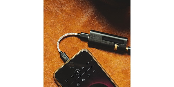 Shanling シャンリン L3 USB-C to USB-C OTGケーブル L3-C-C 送料無料 サウンドハウス
