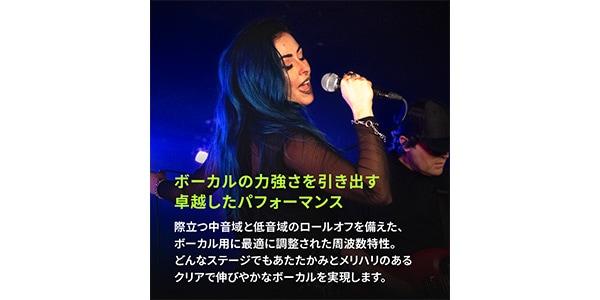 SHURE ( シュア )  / SM58SE画像9