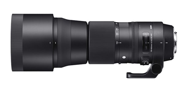 SIGMA ( シグマ )  / Contemporary 150-600mm F5-6.3 DG OS HSM Canon EFﾏｳﾝﾄ用
