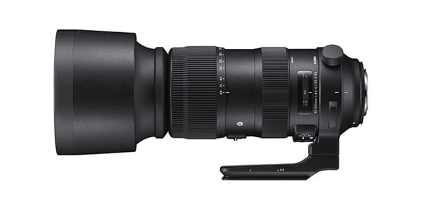 SIGMA ( シグマ )  / Sports 60-600mm F4.5-6.3 DG OS HSM Canon EFﾏｳﾝﾄ用