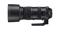 SIGMA / Sports 60-600mm F4.5-6.3 DG OS HSM Nikon Fﾏｳﾝﾄ用