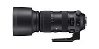 SIGMA / Sports 60-600mm F4.5-6.3 DG OS HSM Sigma SAﾏｳﾝﾄ用