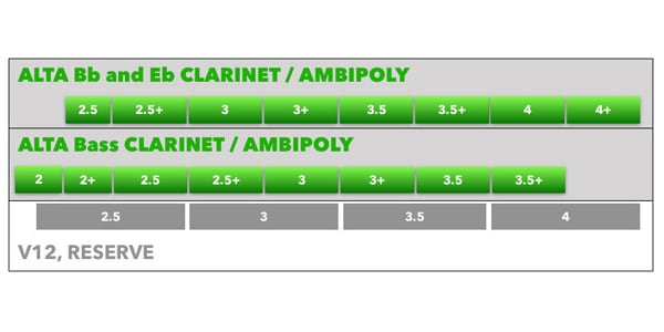 Silverstein / AP250BCLBASSCL25画像2