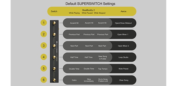 Singular Sound / SUPERSWITCH画像2