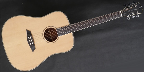 Sire ( サイアー )  / Larry Carlton A3 Dreadnought NT画像2