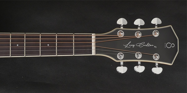 Sire ( サイアー )  / Larry Carlton A3 Dreadnought NT画像5