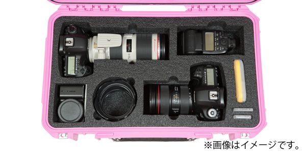 SKB / 3I-20117SLR2 カメラ用キャリングケース DSLR用 SKB ( エスケービー ) 3I-20117SLRP カメラ用キャリングケース