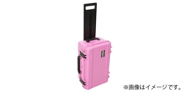 SKB ( エスケービー ) 3I-20117SLRP カメラ用キャリングケース