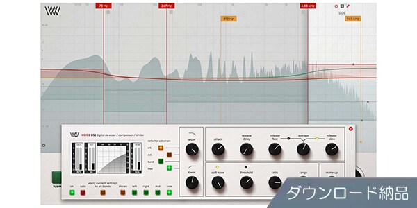 SOFTUBE ( ソフチューブ )  / Weiss DS5 Multiband Compressor