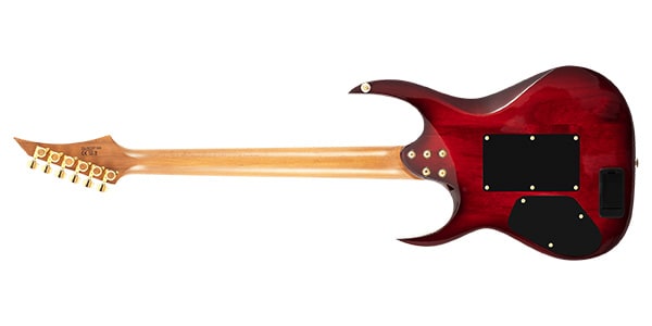 SOLAR GUITARS ( ソーラーギターズ ) / AB1.6AFRQBR画像2