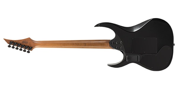 SOLAR GUITARS / AB1.6FRMNS Sustainiac+画像2