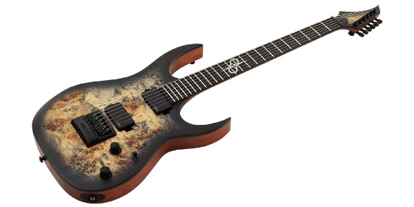 SOLAR GUITARS / S1.6APB画像2